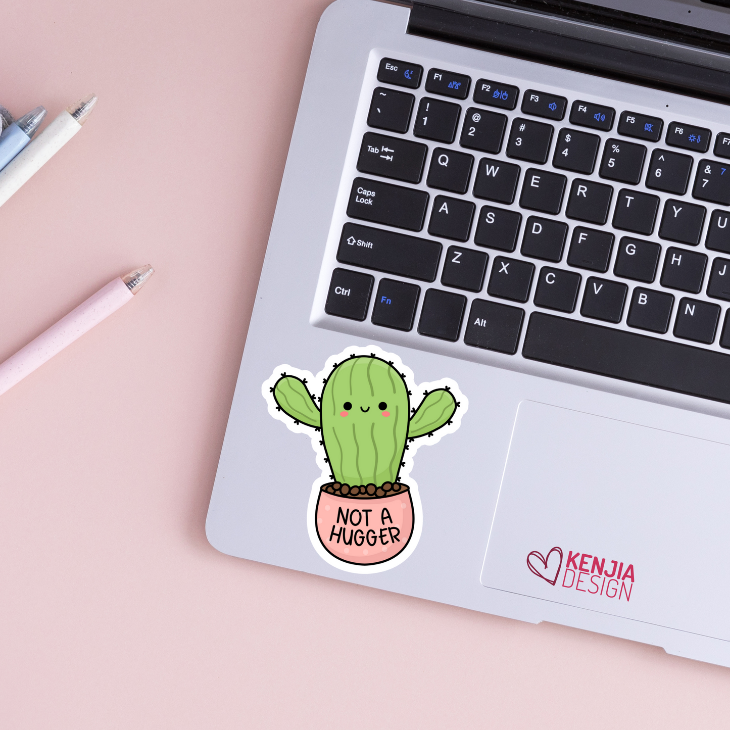 Not a Hugger Succulent / Funny Introvert Stickers & Magnets / Autism Mental Health Matters / Retro Mental Health Awareness Cactus