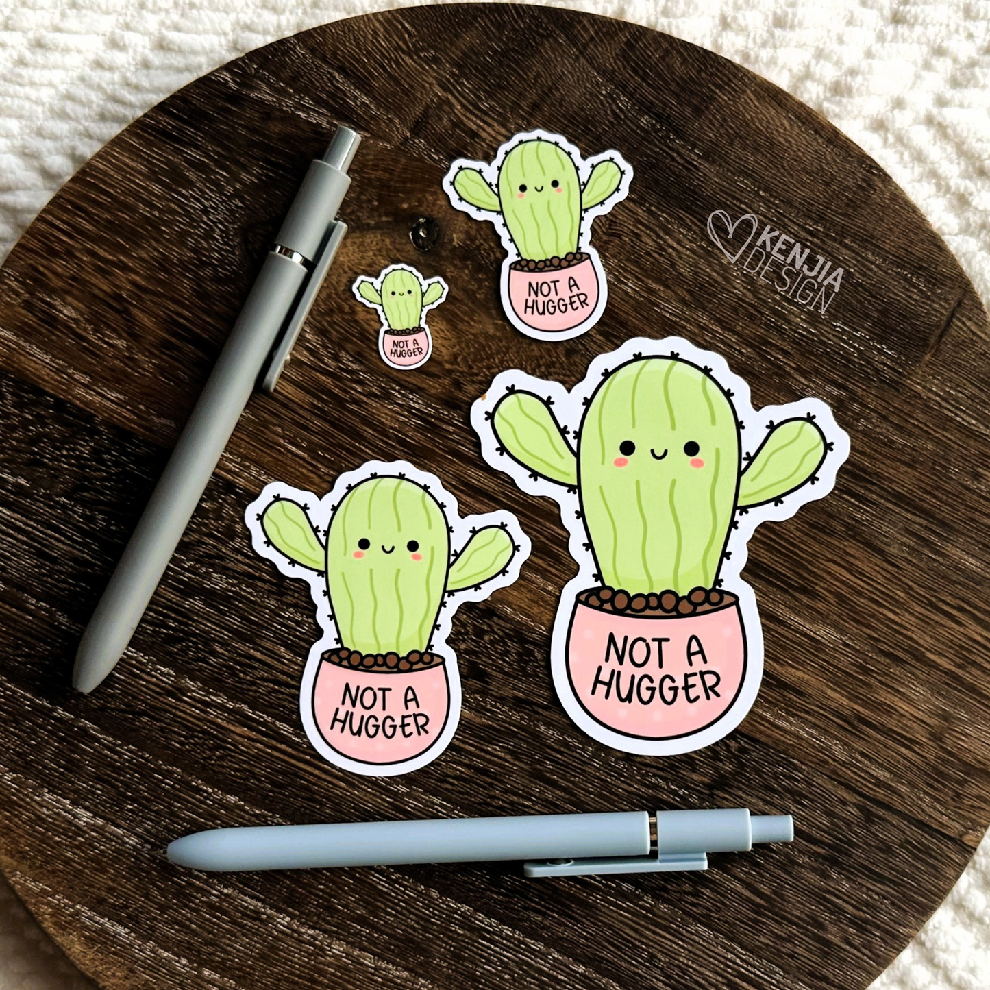 Not a Hugger Succulent / Funny Introvert Stickers & Magnets / Autism Mental Health Matters / Retro Mental Health Awareness Cactus